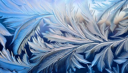 Obraz premium A macro of frost forming on glass, showing delicate, fractal-like ice patterns in cool white, creating a beautiful and intricate winter scene.