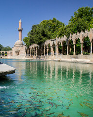 SANLIURFA Fishlake, Ancient Mosque and Fish Pond in Turkey. A serene and picturesque scene of a...