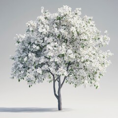 Fototapeta premium Blossoming White Flower Tree on Light Gray Background