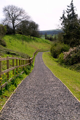 Landscape of evergreen fields and meadows in England, Devon, Crediton, Europe.