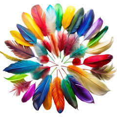 Beautiful feathers arrangement