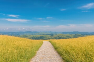 Golden fields stretch towards distant hills under vibrant blue s