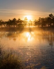 Obraz premium Misty morning lake: calm water with soft ripples & warm sunrise light. Serene & peaceful. Ideal for nature, calming backgrounds & tranquil designs.