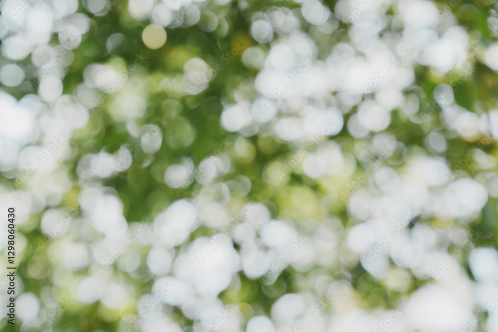 Poster soft focus green leaves with bokeh effect in nature background