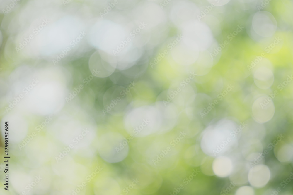 Poster soft focus nature background with green and light bokeh effect