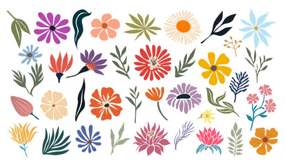 Set of hand drawn floral design elements, abstract shapes. Wild and garden flowers, leaves. Contemporary modern vector botanical art illustrations in trendy colors isolated on transparent background.