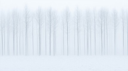 Naklejka premium Bare trees stand in a straight line across a snow-covered field during a foggy winter day.
