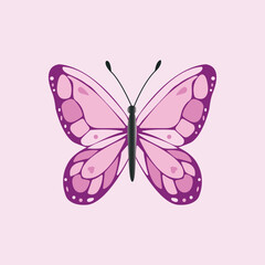 Purple pink butterfly vector illustration on pink background design,card,decoration,printing,celebration.