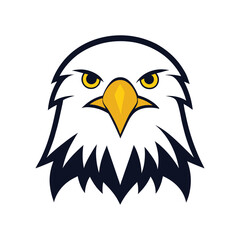 Front facing stare eagle bird with white background