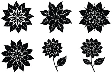 Fototapeta premium Six Black and White Floral Designs with Intricate Petal Patterns
