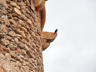 San Miguel Tower in Cabo de Gata. It is an 18th century military watchtower located in Cabo de...