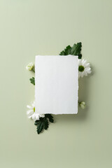 Blank white paper card with rough edges surrounded by daisies and green leaves on a light green background. Perfect for invitations, greetings, and elegant spring designs