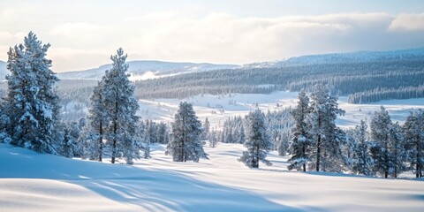 Obraz premium A breathtaking winter landscape filled with snow-covered trees. The serene beauty of nature captures the essence of a quiet snowy day. A perfect setting for winter themes. AI