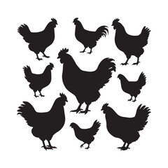 various chicken silhouettes on the white background