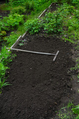 Old rake laying on the dig-up garden bed. Summer garden work.

