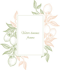 Vector multicolored lemon branches template for design.