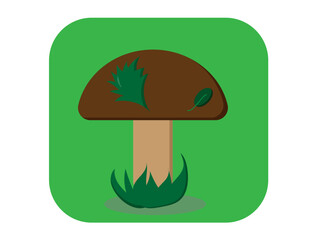 brown mushroom with leaves on a green background,