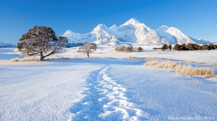 Fototapeta premium Snowy mountain path, early morning light, tranquil landscape, perfect for nature lover's art prints