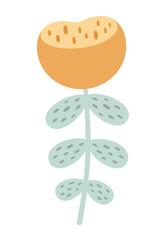 Flower clipart, cute floral clipart, hand drawn seasonal objects. Vector illustration in flat style