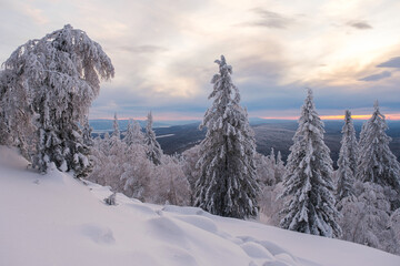 Winter snow-covered trees in the Ural mountains