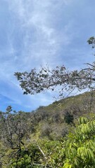 The mountains looked towering in the hot sun, with their peaks stretching out wide as if they were touching the sky. The scorching hot air made every rock and hillside radiate heat, while the shadows 