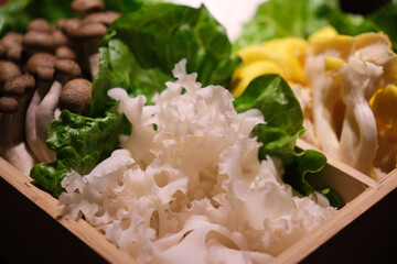 Sparassis crispa edible fungus raw food ingredient