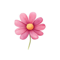 Obraz premium vibrant pink daisy with yellow center and green stem on white background