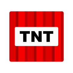 TNT explosion block icon. Vector.