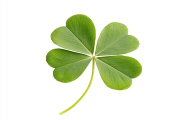 Close-up of a four-leaf clover isolated on a white background, highlighting vibrant green color and intricate details, representing good luck.