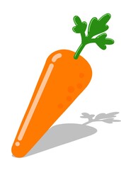 carrot isolated on white, carrot on white background, carrot illustration, carrot  with shadow, carrot vegetable, vegetable element, nature, healt, for precentation, for education, for decoration, eco