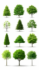 Lush Green Tree Illustrations