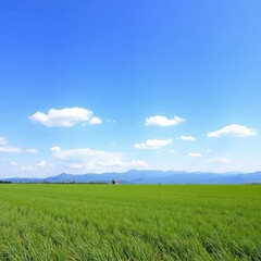 A peaceful scene of a green grass field under a clear blue sky with white clouds and distant mountain peaks in the background, Landscape Photography, Spring