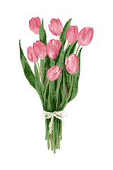 Bouquet of pink tulips, flower shop, Valentine's Day sweet, cute, vintage, hand drawn on transparent background.