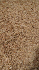 rice background texture