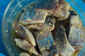 a piece of herring in a glass dish. healthy, salty, fatty fish in oil with spices. background for the design. the blue color.