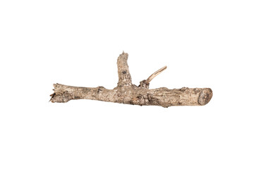Dry tree twigs branches isolated on white background with clipping path.