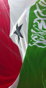 Flag of Somaliland. 4K Vertical. Loop