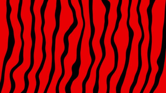 Irregularly swinging black and red zigzag lines. 4K abstract motion background.