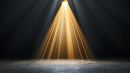 A spotlight shines down from above onto a dark grey concrete floor, creating a dramatic, illuminated stage.