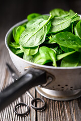 Close up of freshly washed green spinach leaves in a metal colander with scissors on rustic wooden...
