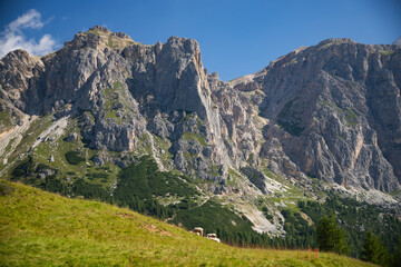 Alpine meadow in the mountains, The Dolomites, Italy