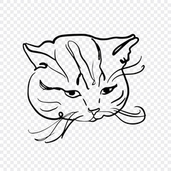 Minimalistic line art illustration of a cats face drawn in black line style. The transparent background highlights the delicate and intricate details of the feline expression.