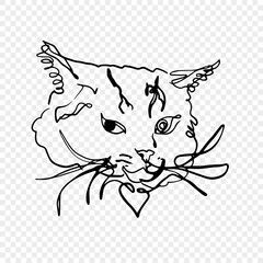 Minimalistic one line drawing of a cats face showcasing abstract artistic style. The sketch outlines feline features with simplicity and elegance on a transparent background.