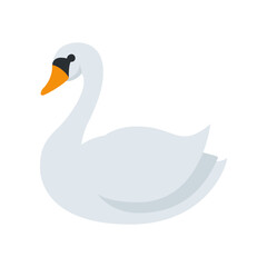 Swan 