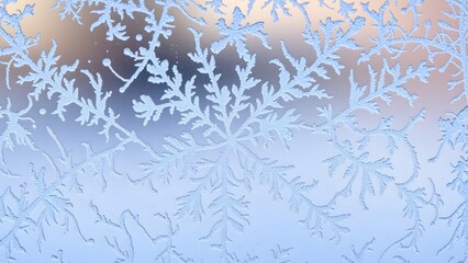snow covered branches