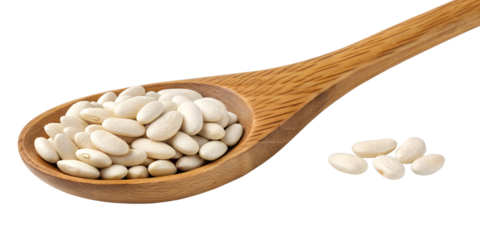 white kidney bean isolated on transparent background png