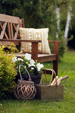 evening relax in summer cottage garden. Wooden bench, lantern, cozy pillow near yellow spirea bush.