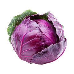 Obraz premium Fresh purple cabbage isolated on a clean transparent background showcasing its vibrant color and unique texture, purple cabbage isolated on transparent background