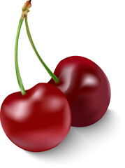 two cherries isolated on white background