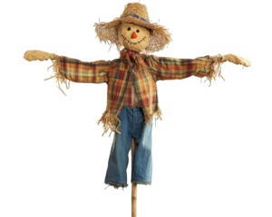 Scarecrow with straw hat and plaid shirt, standing in field. This cheerful figure is often used to deter birds from crops, adding rustic charm to landscape